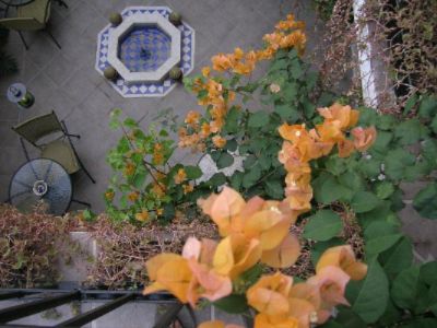Hotel Julamis - Courtyard