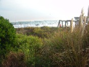 Comfort Inn North Oceanfront - Clarion Oceanfront Beach Access