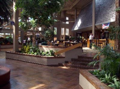 Atrium Tropical Setting