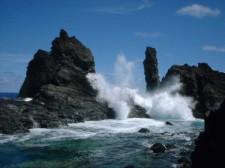 Best Western Inn at Face Rock Hotel & Suites - Pacific Ocean