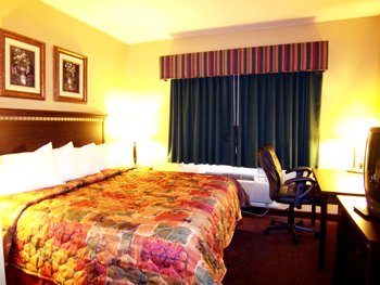 Best Western Intercontinental Airport Inn - 