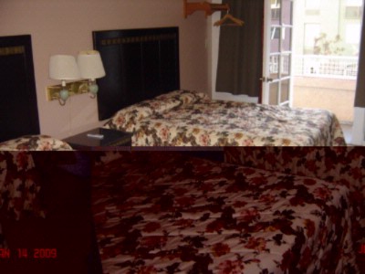 Harbor View Inn - 