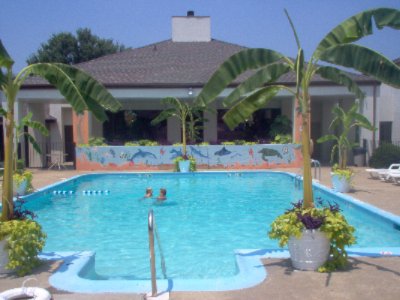 Comfort Inn Prince George - Pool