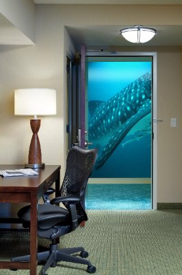 Hilton Garden Inn Atlanta Downtown - View From Guest Room Into Guest Corridor