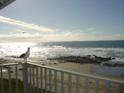The Coho Oceanfront Lodge - Enjoy The Sights And Sounds Of Nature From Your Private Balcony