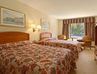 Standard Room With Two Double Beds