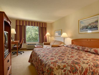 Standard Room With One King Bed