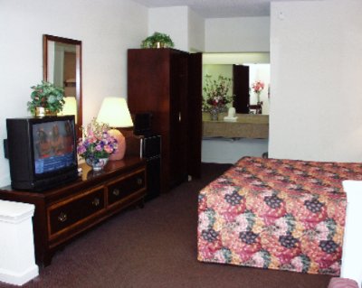 King Mini-suite