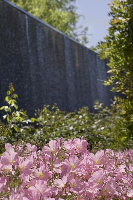 Hyatt Vineyard Creek - Garden Waterwall