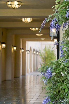 Hyatt Vineyard Creek - Quiet Breezways