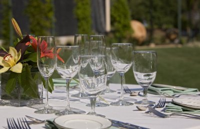 Hyatt Vineyard Creek - Outdoor Event In The Gardens