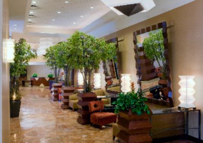 Crowne Plaza Houston River Oaks Near The Galleria - Lobby