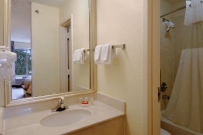 Ramada Convention Center I Drive - Bathroom