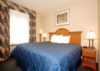 1 King Bed Room