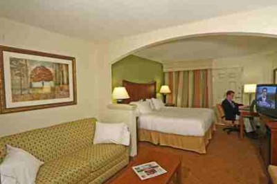 Elegant King Suite