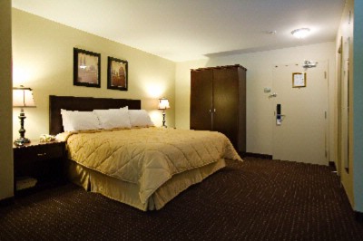 Comfort Inn Halifax - Room With King Size Room