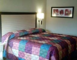 Renovated King Room