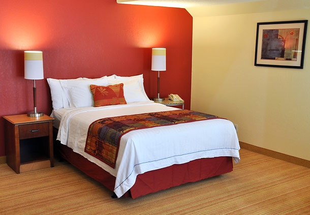 Studio Suite