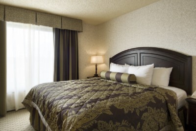 Embassy Suites Hotel Seattle North / Lynnwood - King Suite