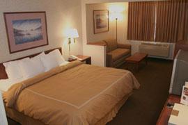 King Suite- Comfort Suites- Lakewood/golden
