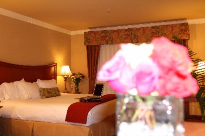 Holiday Inn Express Hotel & Suites - King Size Bed