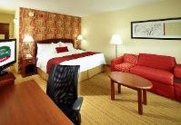 Standard King Bed Room