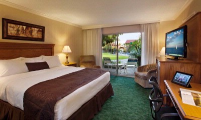 Best Western Pepper Tree Inn - Double Double Beds
