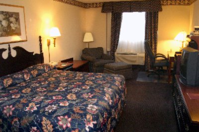 Guest Room With King Beds