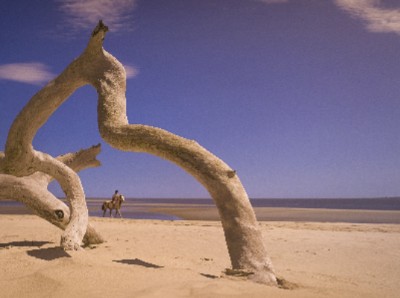 Equistrian Beach Ride