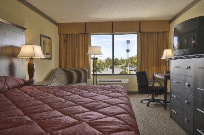 Large Bedded Room