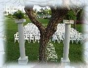 Natural Heart Tree For Wedding Ceremonie