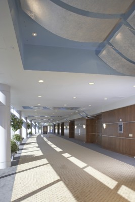 Hilton BWI Airport - 
