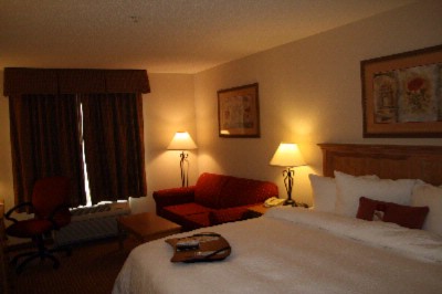 Hampton Inn Cortland - Standard King Study