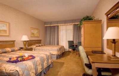 Piccadilly Inn Hotels - Newly Renovated Spacious 2-queen Bedded Rooms