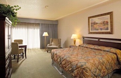 Piccadilly Inn Hotels - Newly Renovated Spacious Single King Rooms