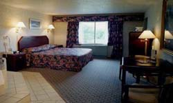 King Jacuzzi Suite with Fridge/Microwave