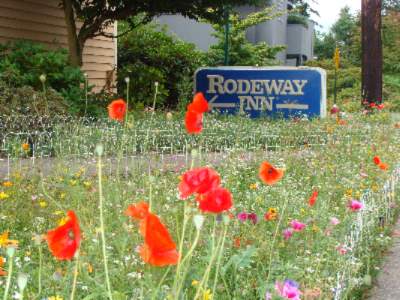 Rodeway Inn Bellingham - Garden