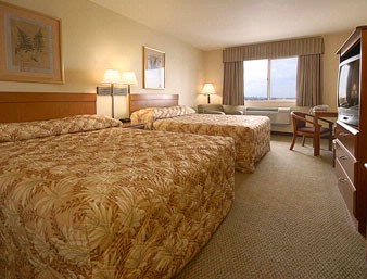 Super 8 East - Two Queen Beds Guest Room