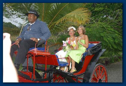 Horse & Carriage Rides