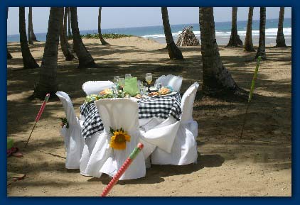 Dinner on the Beach