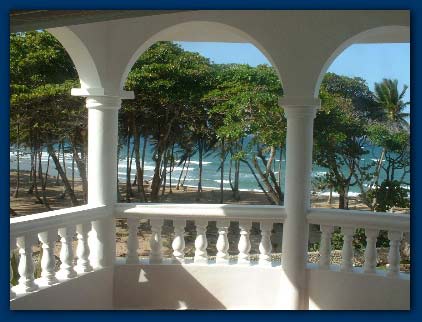 The View from your Room