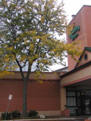 Holiday Inn Burlington Hotel & Conference Centre - Exterior