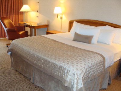 Ramada Columbus Airport - King Suite