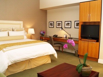 Deluxe Guest Room