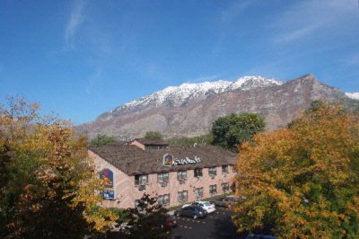 Best Western Cottontree Inn Provo - 