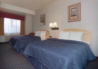 King Bed Suite