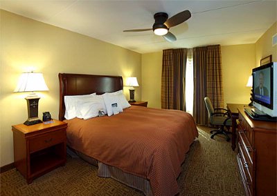 1 Bedroom Suite Layout
