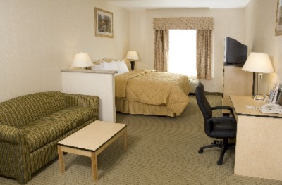 King Suite - 1bed 1 Sofa Bed (full Size)