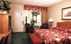King Efficiency Room