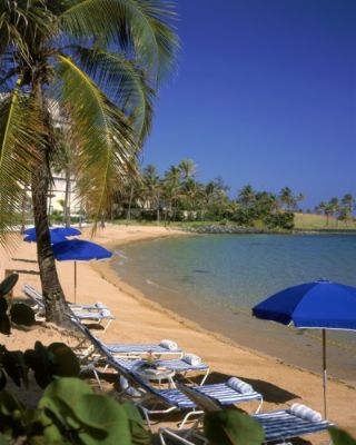 Caribe Hilton - 